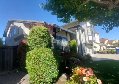 Experienced Exterior Painting Services